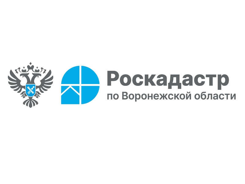 В 2025 году воронежский Роскадастр проводит комплексные кадастровые работы в отношении 184 кадастровых кварталов.